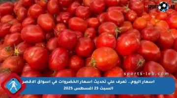 أسعار اليوم.. تعرف على تحديث أسعار الخضروات في أسواق الأقصر السبت 23 أغسطس 2025